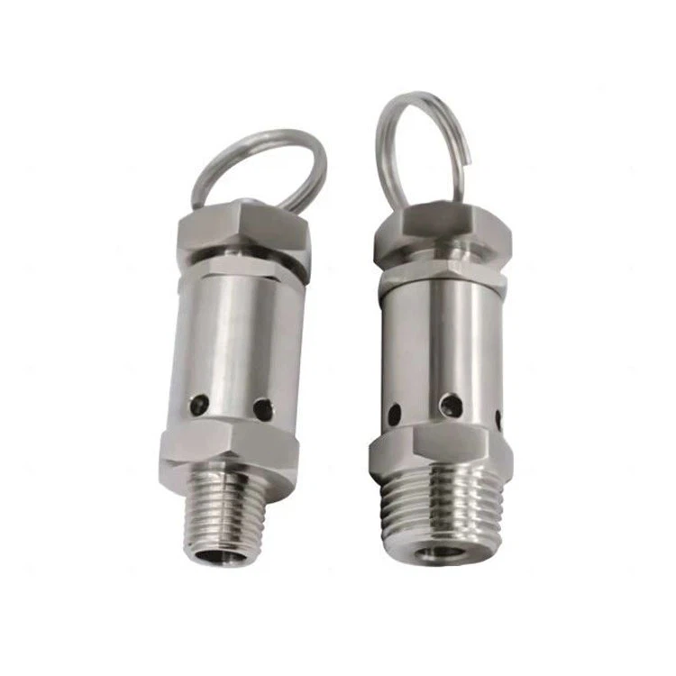 Stainless Steel Safety Valve