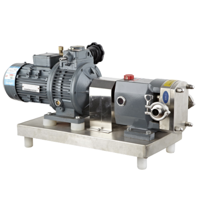 转子泵标配-removebg-preview